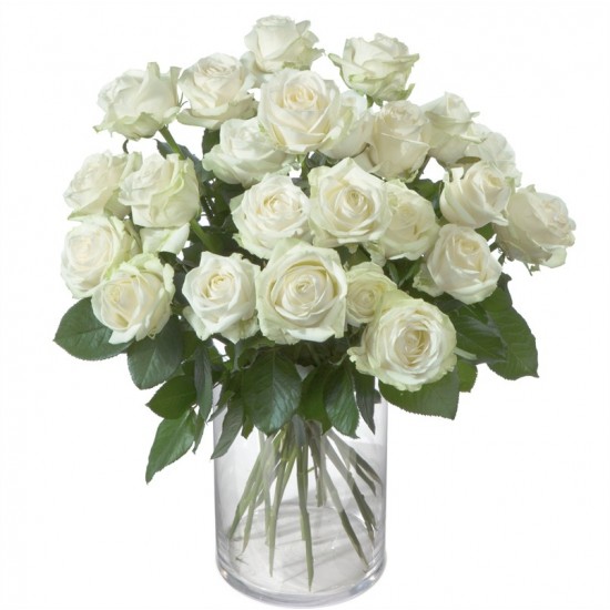 24 białe róże