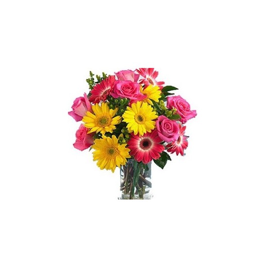 Arrangement of cut flowers with or without vase