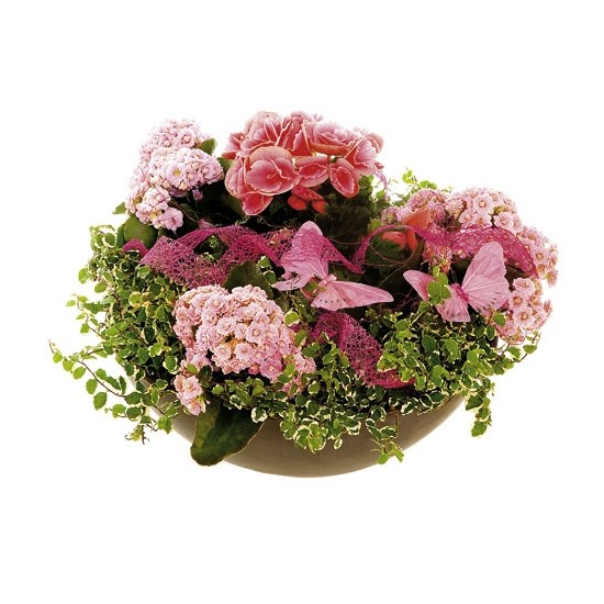 Florist's choice planting in a low bowl