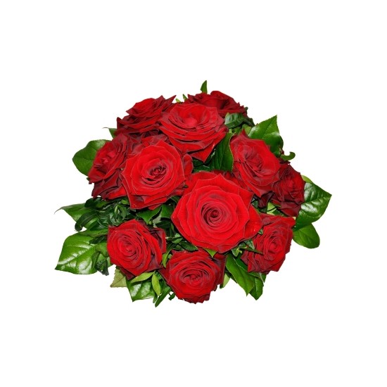 Round bouquet of 12 red Roses with some green filler