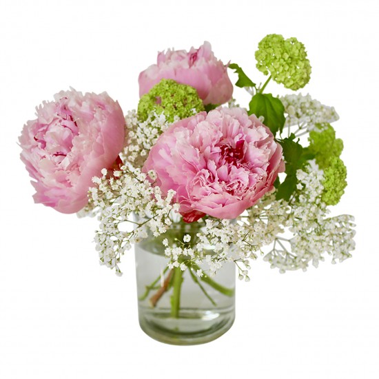 Charmed by peonies