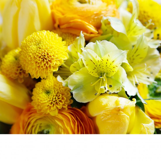 Florist's Choice in yellow