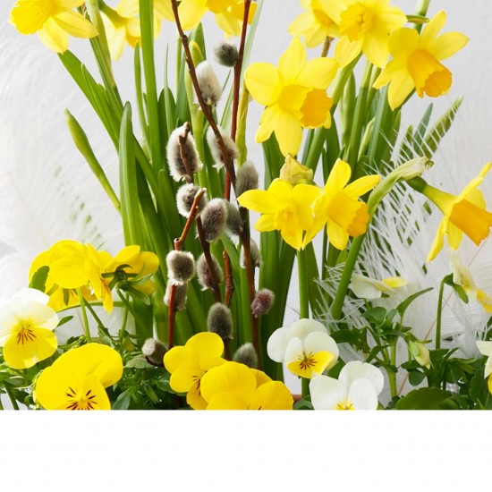 Easter planting, florist's choice