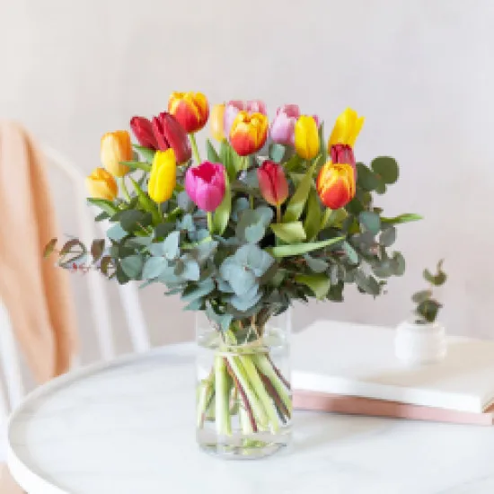 Tulipany wielokolorowe