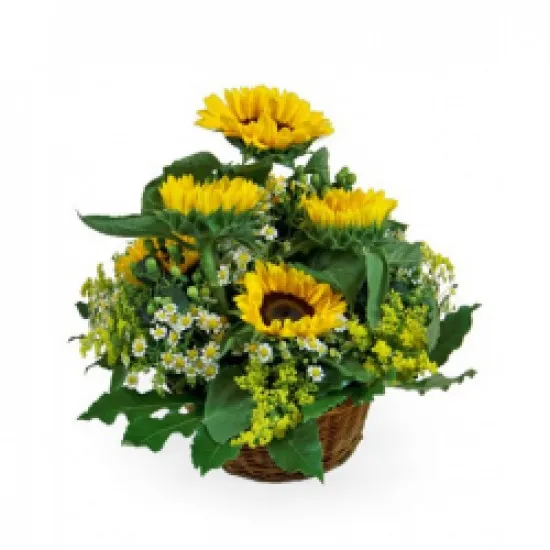 Summer Basket