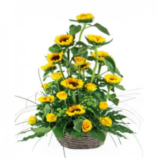 Summer gift