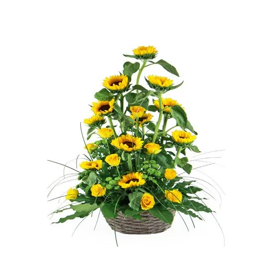 Summer gift