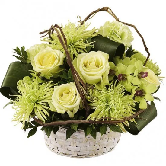 Vanila and Mint in a Basket