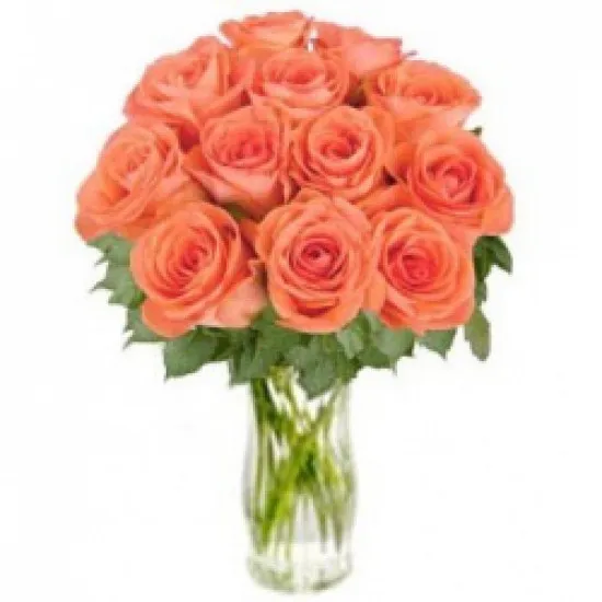 Bouquet of orange roses 