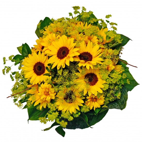 Round Sunflower bouquet with other mainly yellow and green flowers + matching filler