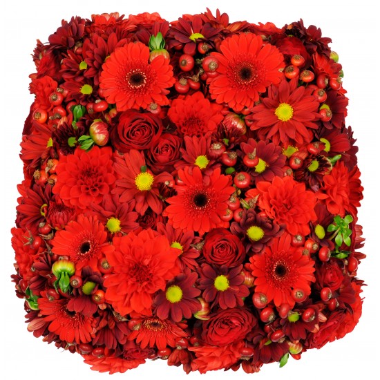 Floral pillow ACF for funeral in ONLY red (roses/gerberas/daises etc..)