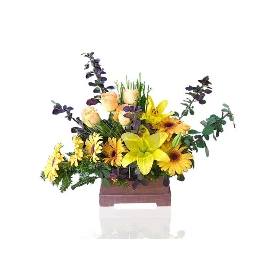 Arrangement of Cut Flowers