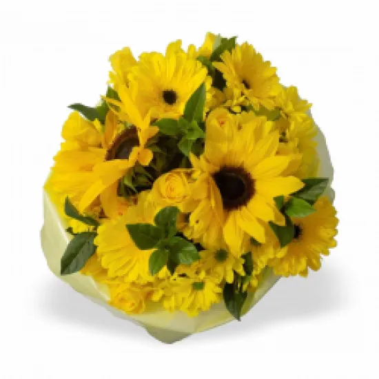Yellow Bunch MED