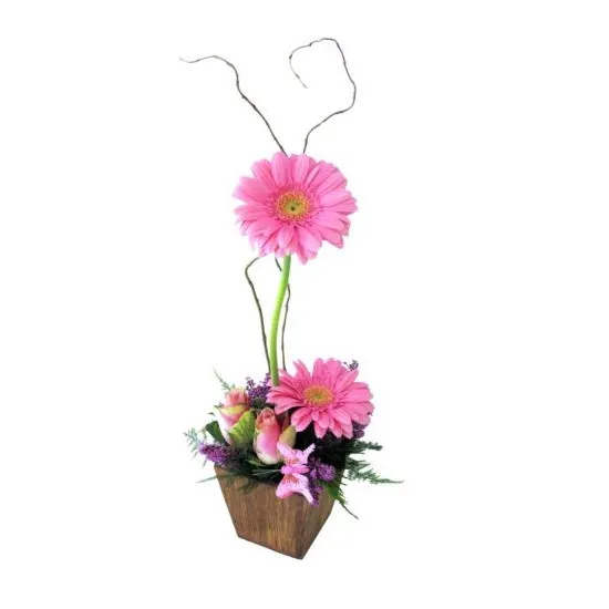 Glam Gerberas