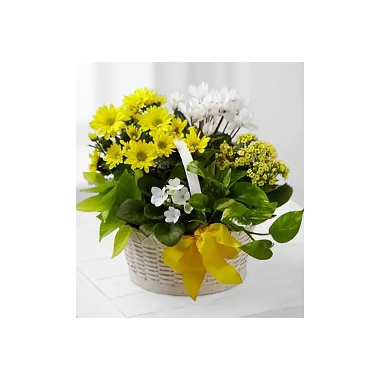 C22-4888 A Bit of Sunshine™ Basket