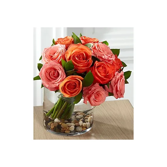 Kompozycja Róż ''Płonąca Piękność''