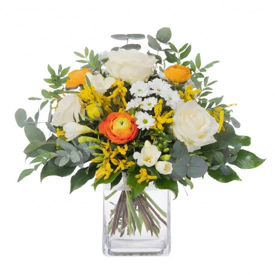 Pierwsze Wiosenne Promienie