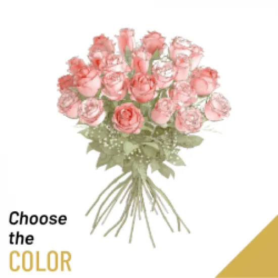 24 roses