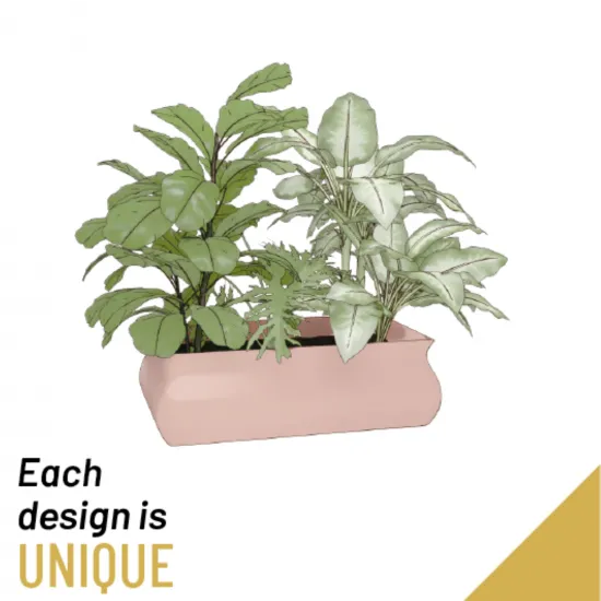 Arrangement of Plant