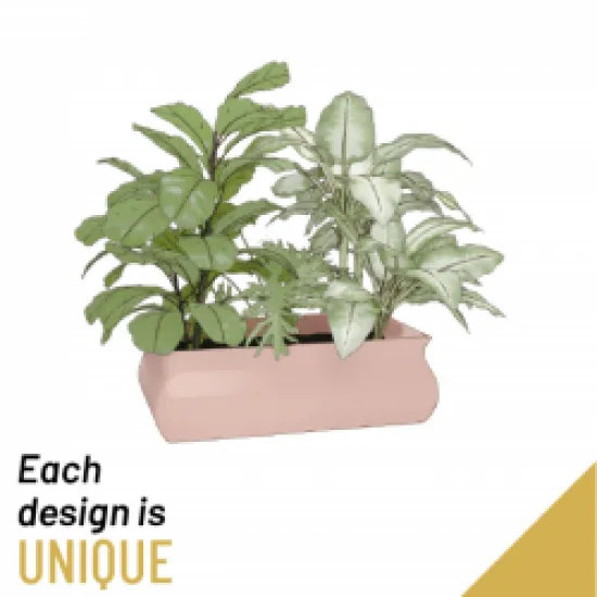 Arrangement of Plant