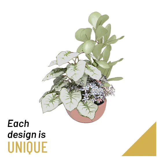 Planted Bowl Arragement