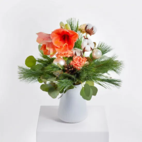 Apricot Dream