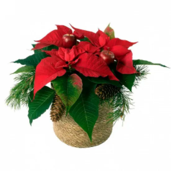 Tradycje świąteczne