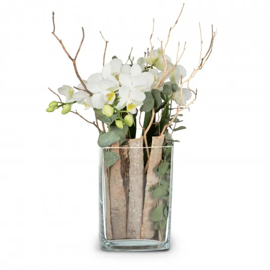 Styl życia (orchidea w wazonie)