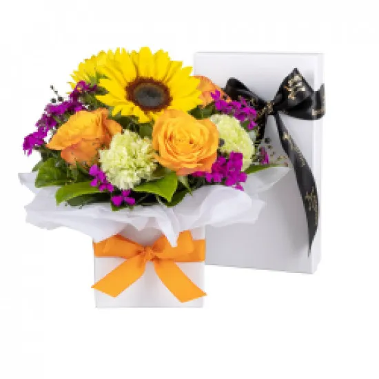 Sunflower Surprise