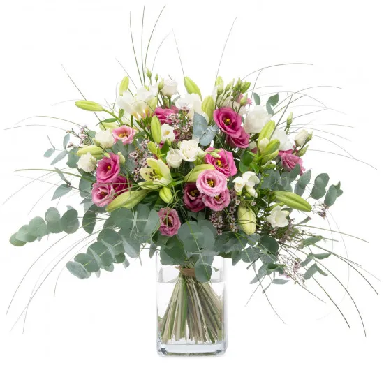 Świeża Wiosenna Bryza