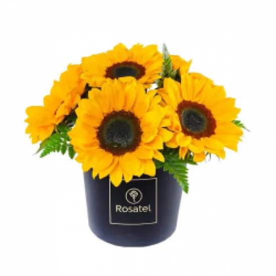Flowerbox ze Słonecznikami