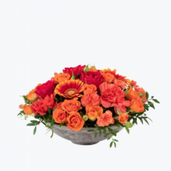 Decoration Vibrant Medium