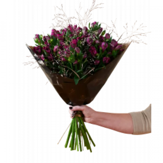 Amazing Alstromeria Purple