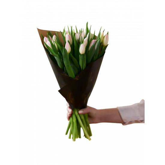 Delikatne Różowe Tulipany