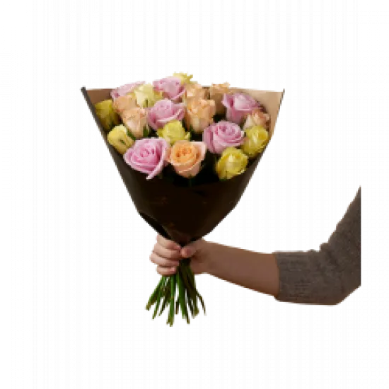 Winter Roses 20 242617