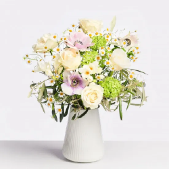 World Improver Woman