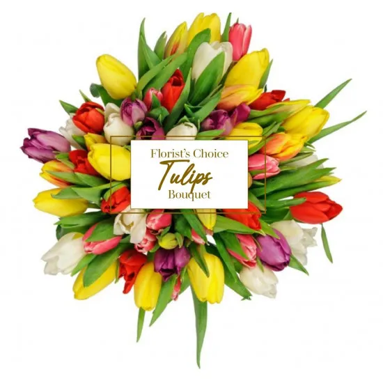 Bukiet Sezonowych Tulipanów