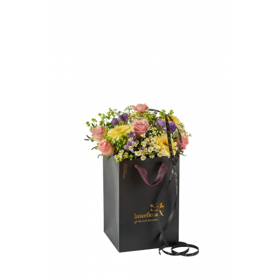 Spring Classic 250302