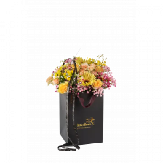 Summer Classic 250309