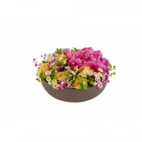 Summer Bowl 250334