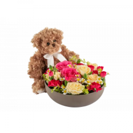 Celebrate and Teddy 250360