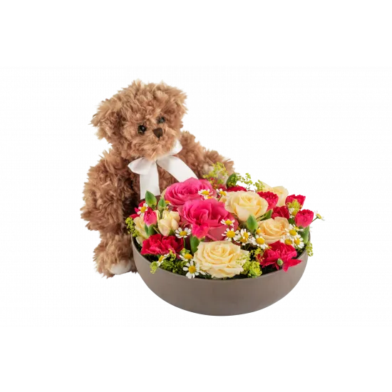 Celebrate and Teddy 250360