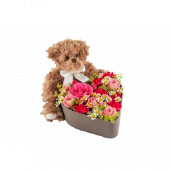 Love Heart and Teddy 250338