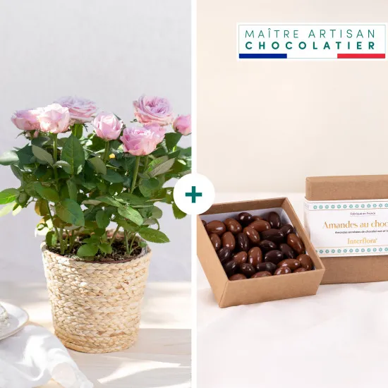 Rosier et ses chocolats