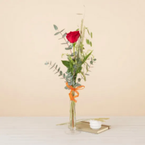 Sant Jordi udekorowany różą