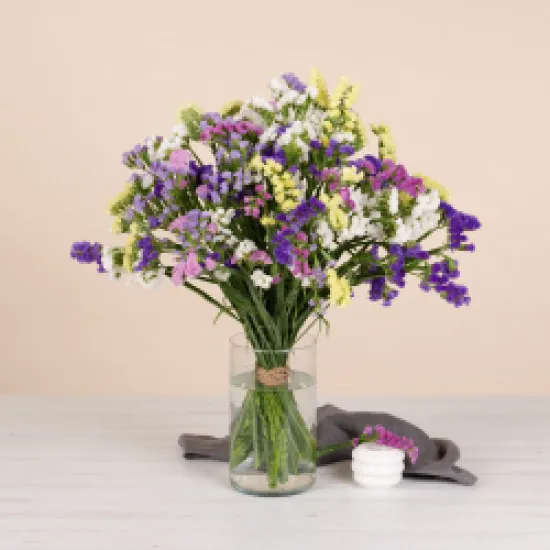 Bouquet di Semprevive