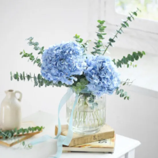 Breath of Blue