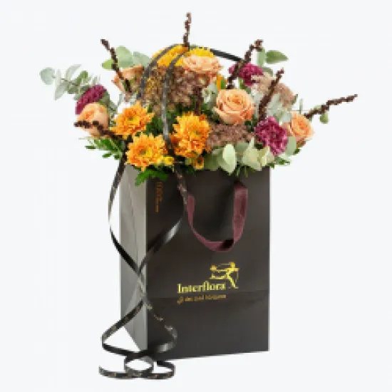 Autumn Warm Medium 240402