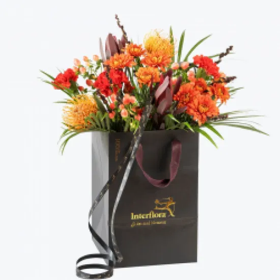 Autumn Bright Medium 240405