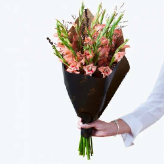 Gladioli large 240412